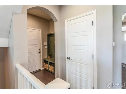 2253 Stonefish Dr, Windsor, CO 80550 photo 18