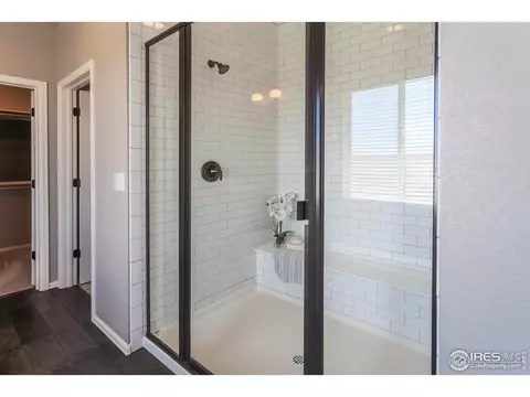 2253 Stonefish Dr, Windsor, CO 80550 photo 25