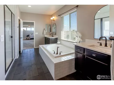 2253 Stonefish Dr, Windsor, CO 80550 photo 24