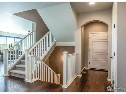 2253 Stonefish Dr, Windsor, CO 80550 photo 19