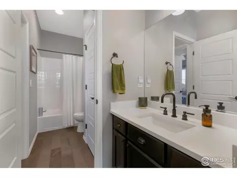 2253 Stonefish Dr, Windsor, CO 80550 photo 28