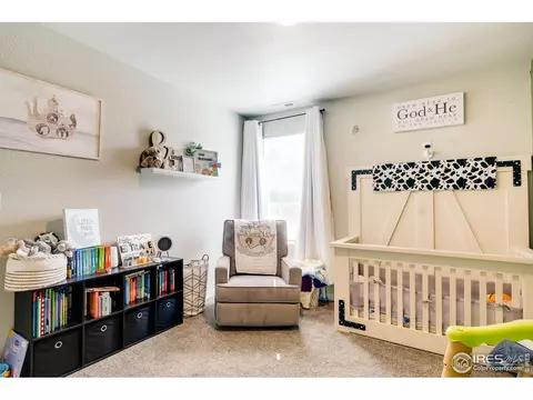 3805 Dove Ln, Evans, CO 80620 photo 20