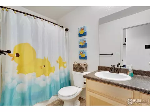 312 Torreys Dr, Severance, CO 80550 photo 17
