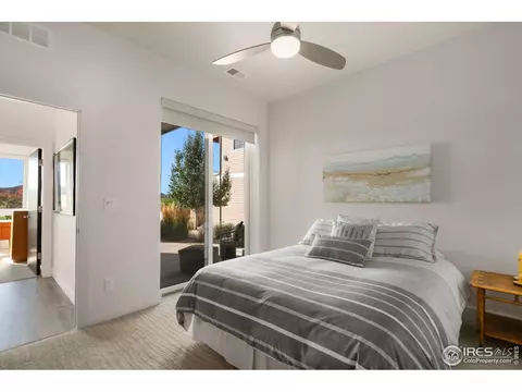 6031 Last Pointe Ct, Windsor, CO 80550 photo 30