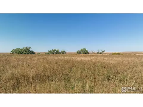 111 144th Ave, Wiggins, CO 80654 photo 23