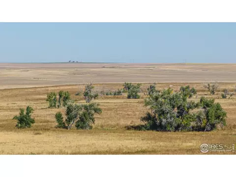 111 144th Ave, Wiggins, CO 80654 photo 24