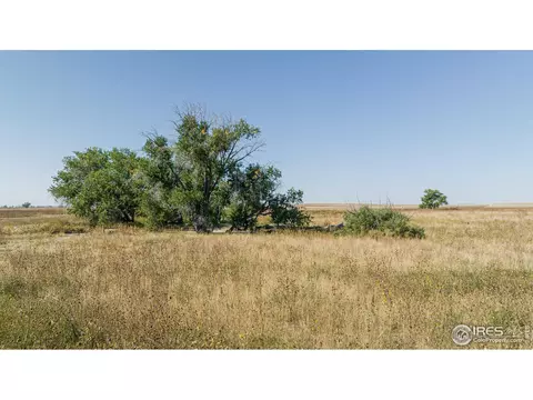 111 144th Ave, Wiggins, CO 80654 photo 22