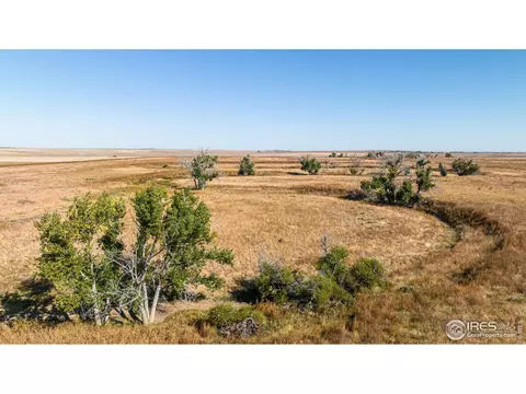 111 144th Ave, Wiggins, CO 80654 photo 17