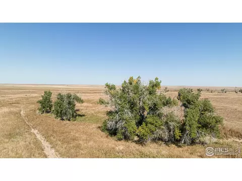 111 144th Ave, Wiggins, CO 80654 photo 29