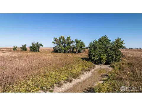 111 144th Ave, Wiggins, CO 80654 photo 13