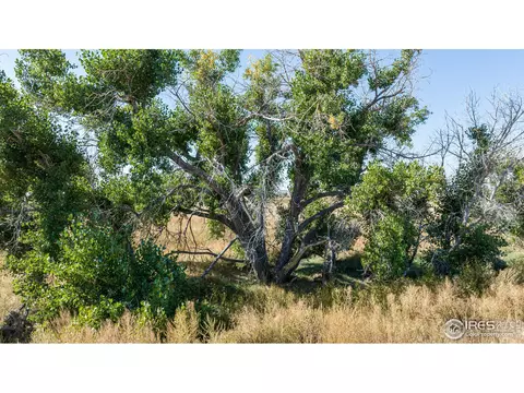 111 144th Ave, Wiggins, CO 80654 photo 27