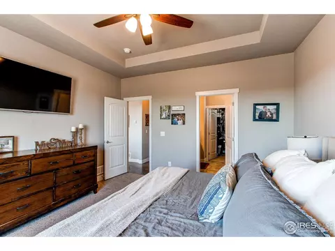 100 Primrose Ct, Wiggins, CO 80654 photo 14