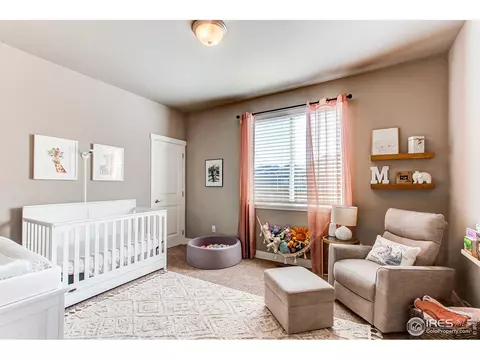 100 Primrose Ct, Wiggins, CO 80654 photo 20