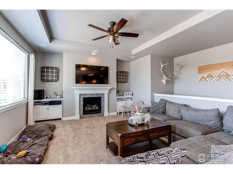 100 Primrose Ct, Wiggins, CO 80654 photo 9
