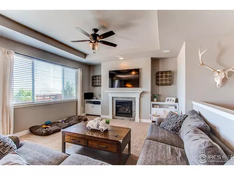 100 Primrose Ct, Wiggins, CO 80654 photo 8