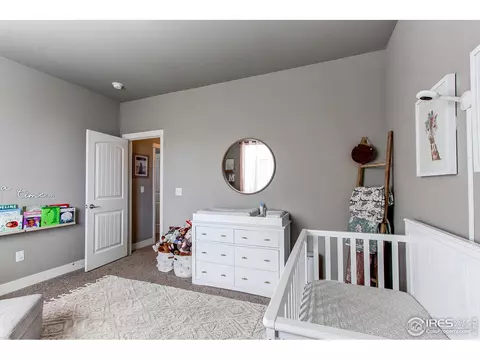 100 Primrose Ct, Wiggins, CO 80654 photo 19