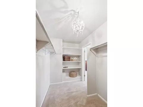 3554 S Ivanhoe St, Denver, CO 80237 photo 23