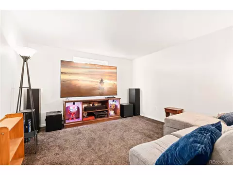 984 Axis Dr, Severance, CO 80550 photo 20