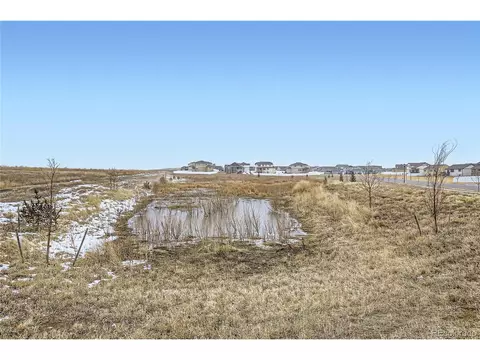 984 Axis Dr, Severance, CO 80550 photo 33
