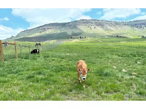 201 Spring Gulch Dr, Lyons, CO 80540 photo 32