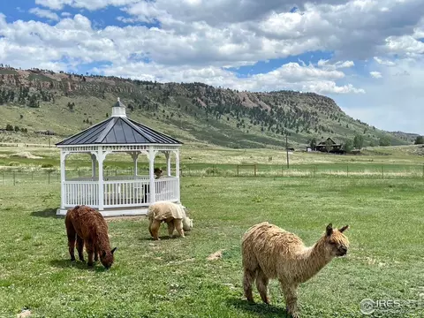 201 Spring Gulch Dr, Lyons, CO 80540 photo 3
