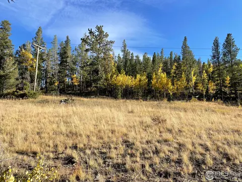90 Kispoko Ct, Red Feather Lakes, CO 80545