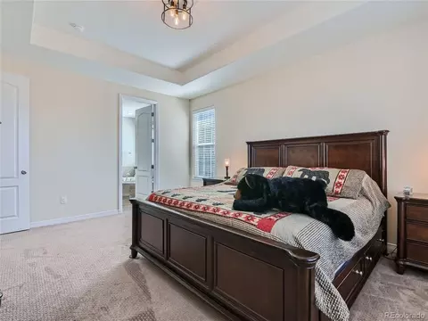 2883 E 161st Pl, Thornton, CO 80602 photo 14