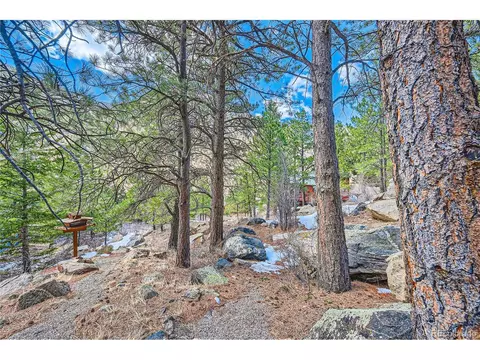 Skyline Rd, Georgetown, CO 80444