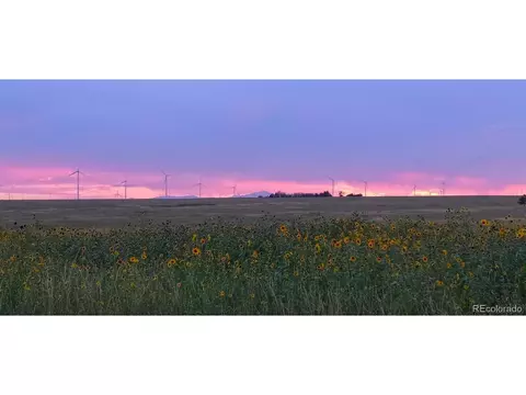 8990 Mulberry Rd, Calhan, CO 80808