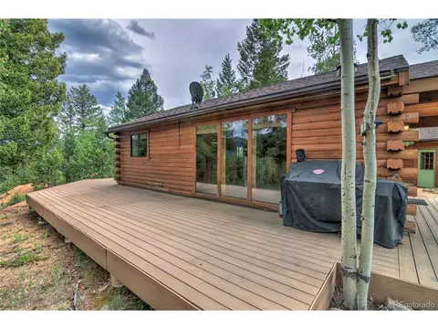 Exterior - 130 Summit Way, Bailey, CO 80421 photo 5 of 11