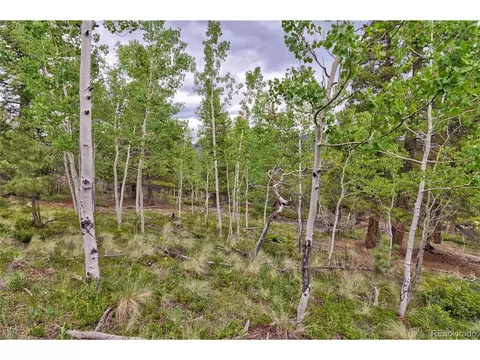 Other - 130 Summit Way, Bailey, CO 80421 photo 1 of 2