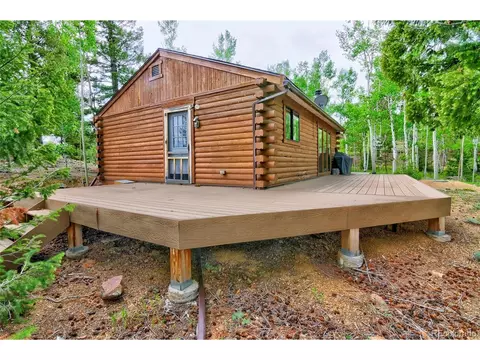 Exterior - 130 Summit Way, Bailey, CO 80421 photo 6 of 11