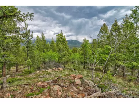 Exterior - 130 Summit Way, Bailey, CO 80421 photo 9 of 11