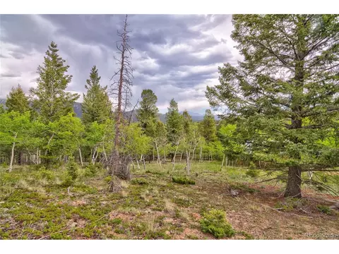 Exterior - 130 Summit Way, Bailey, CO 80421 photo 10 of 11