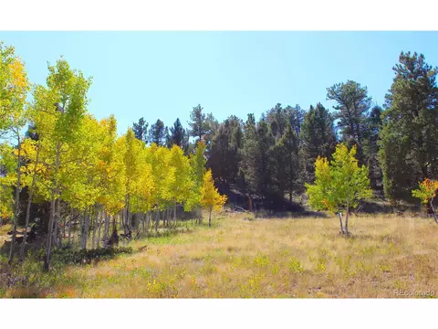 362 Sombrero Rd, Hartsel, CO 80449