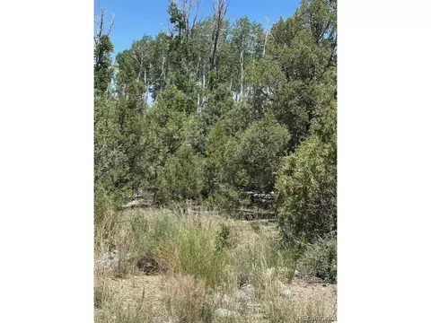 231 Mill Run Rd, Mosca, CO 81146 photo 5