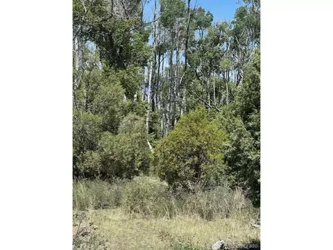 231 Mill Run Rd, Mosca, CO 81146 photo 3
