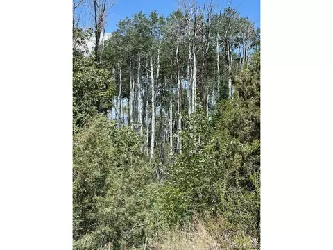 231 Mill Run Rd, Mosca, CO 81146 photo 6
