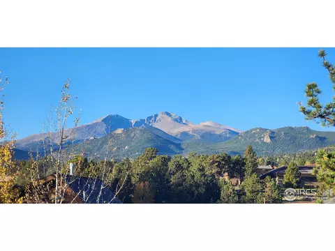 1875 Sketch Box Ln #3, Estes Park, CO 80517