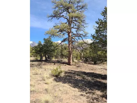 1452 Pinecrest Overlook, Crestone, CO 81131 photo 13