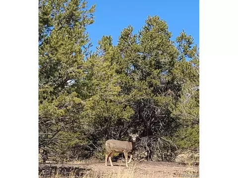 1452 Pinecrest Overlook, Crestone, CO 81131 photo 3