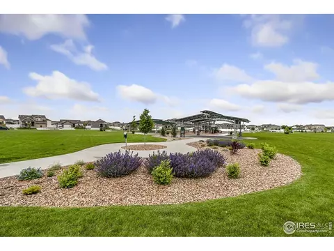 942 Mt Andrew Dr, Windsor, CO 80550 photo 28