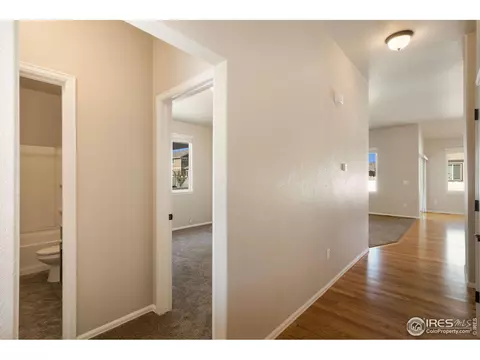 942 Mt Andrew Dr, Windsor, CO 80550 photo 4