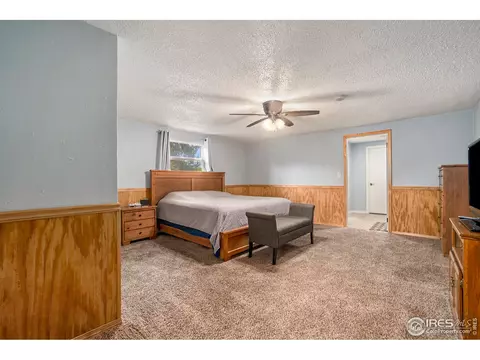 317 7th St, Windsor, CO 80550 photo 22