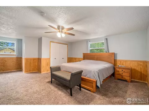 317 7th St, Windsor, CO 80550 photo 21