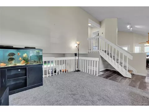 4497 N Genoa St, Denver, CO 80249 photo 13