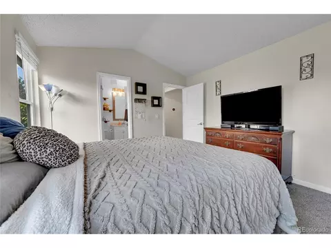 4497 N Genoa St, Denver, CO 80249 photo 15
