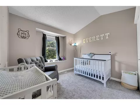 4497 N Genoa St, Denver, CO 80249 photo 17