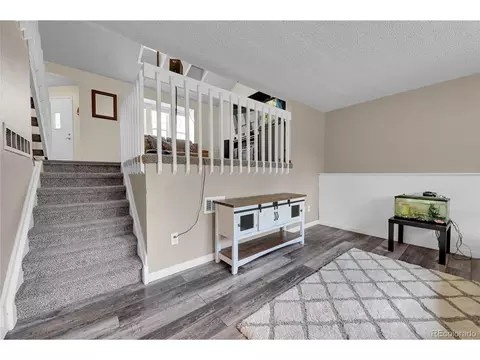 4497 N Genoa St, Denver, CO 80249 photo 18