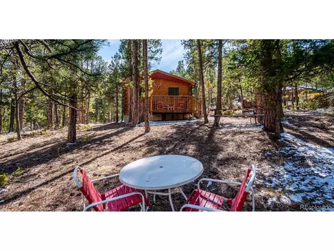 Other - 33885 La Plata Ln, Pine, CO 80470 photo 3 of 10